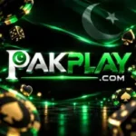 Featured image for the PAKPLAY Game guide