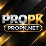 Featured image for the PROPK Game guide