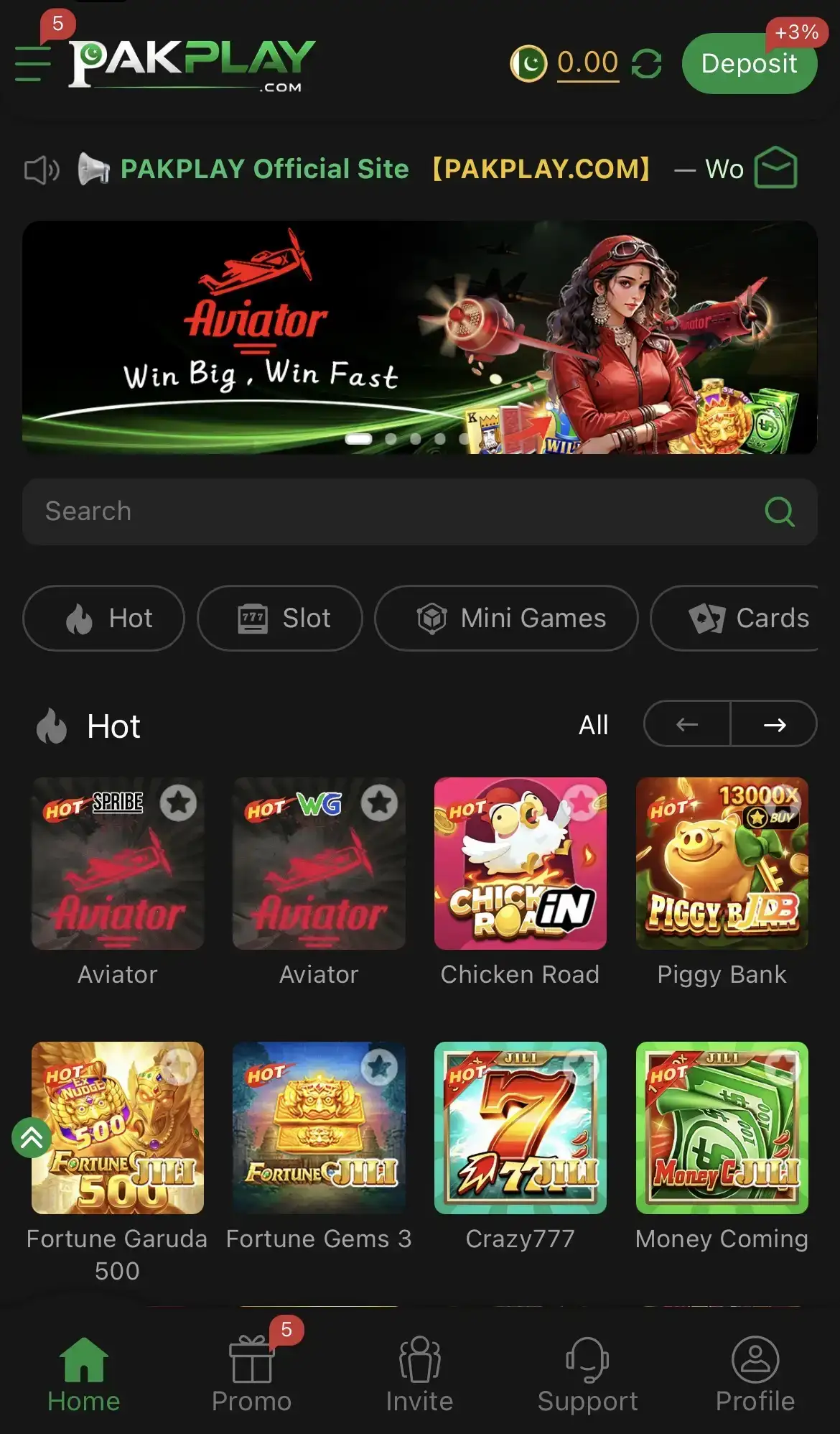 Supporting image for the PAKPLAY Game guide